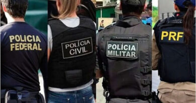 O Brasil e a “in” segurança pública