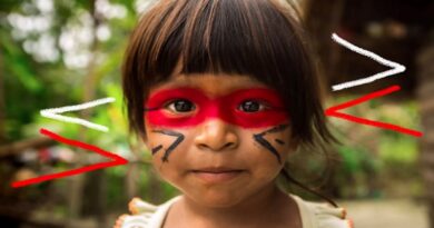 Ensino da cultura dos povos indígenas: uma dimensão valiosa para a escola.