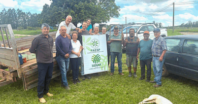 Sindicato Patronal Rural em Tietê promove curso de apicultura com foco em produção de rainhas e geleia real