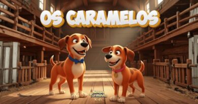 “Os Caramelos”, do projeto Nossa Turminha Kids, entram com alegria na Arca de Noé